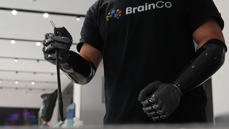 企业级数据湖应用平台：构建智能数据生态的关键**